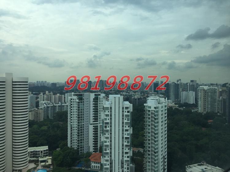 The Arc at Draycott (D10), Apartment #66213272